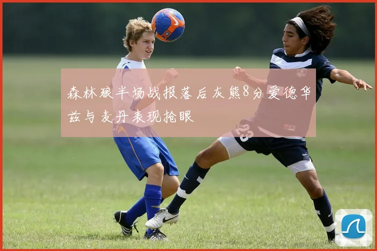森林狼半场战报落后灰熊8分爱德华兹与麦丹表现抢眼