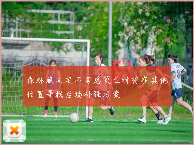 森林狼决定不考虑莫兰特将在其他位置寻找后场补强方案